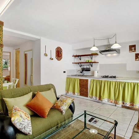 Apartamento Jardin Del Sol Tacoronte Exterior photo